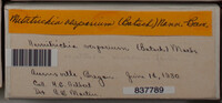 Image Associated With the Occurence